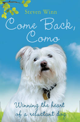 Come Back, Como by Steven Winn image