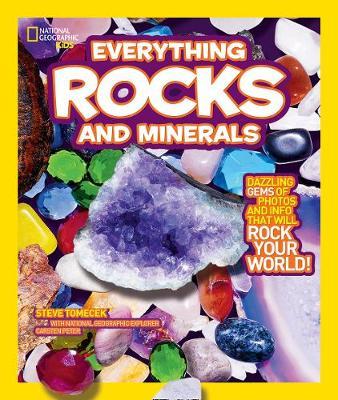 Everything Rocks and Minerals by Steve Tomecek image