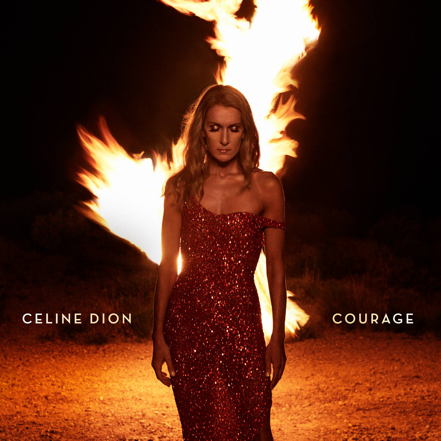 Courage by Celine Dion image