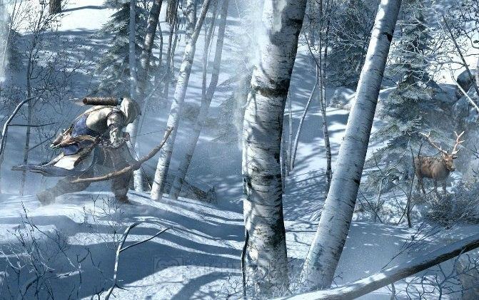Assassin's Creed III for PS3 image
