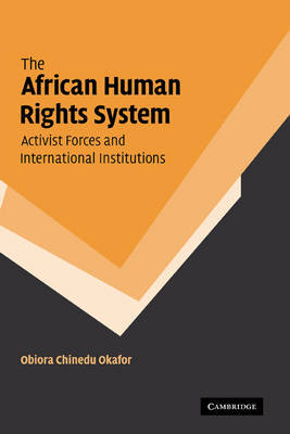 The African Human Rights System, Activist Forces and International Institutions by Obiora Chinedu Okafor image