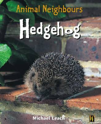 British Animals: Hedgehog by Michael Leach image