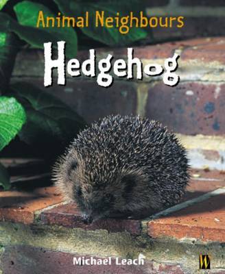 Hedgehog image