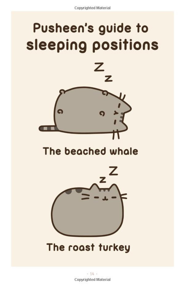 I Am Pusheen the Cat image