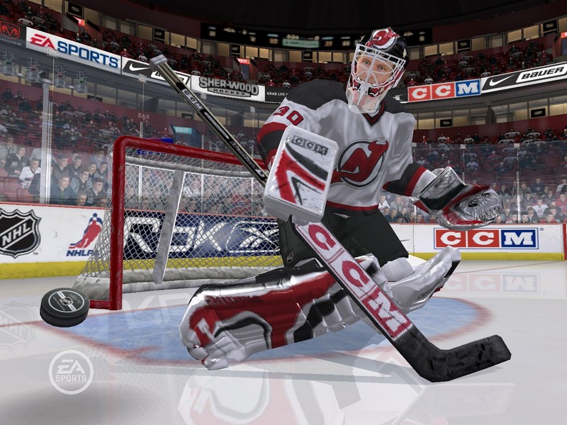 NHL 07 image