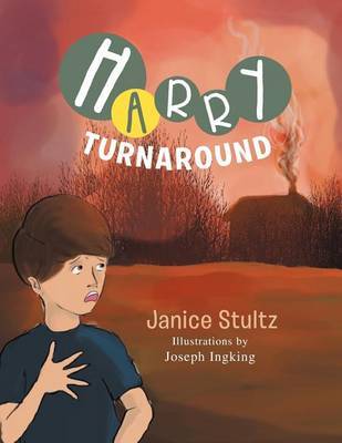 Harry Turnaround by Janice Stultz image