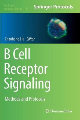 B Cell Receptor Signaling image