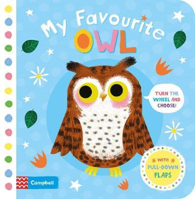 My Favourite Owl by Campbell Books image
