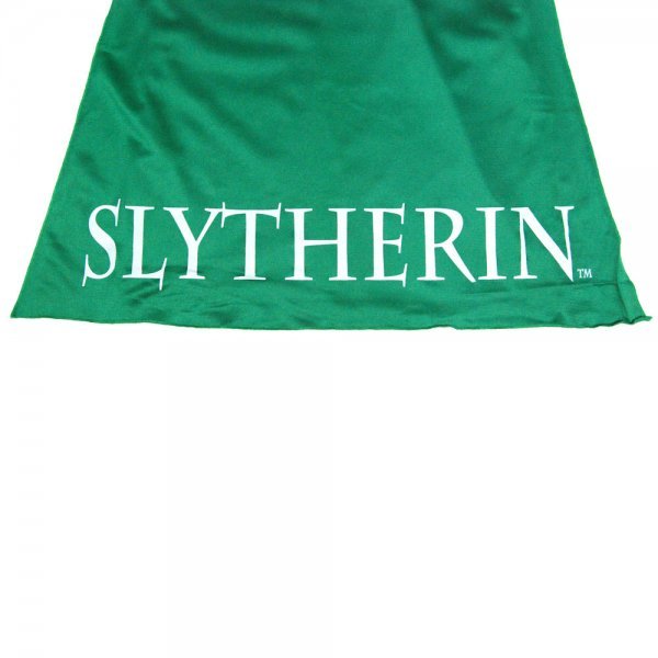 Harry Potter Slytherin Caped Polo Shirt (Large) image