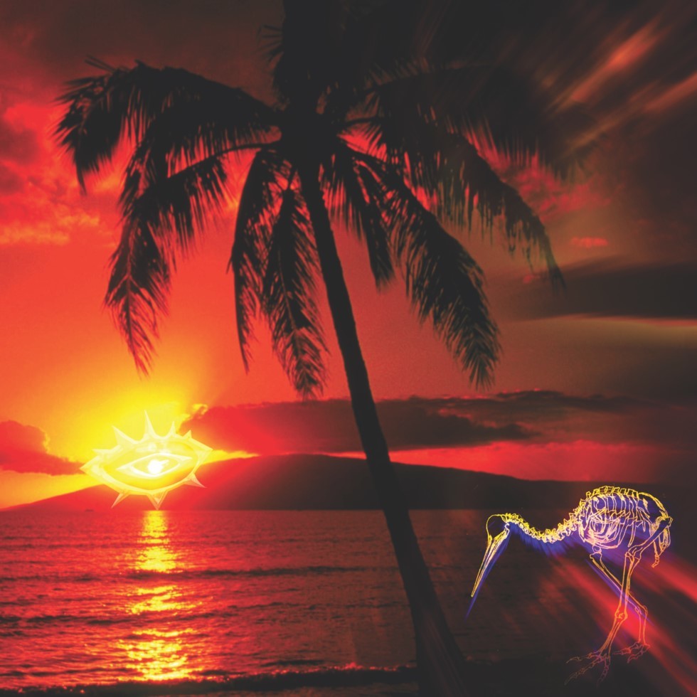Soul Love Trippa by Salmonella Dub image