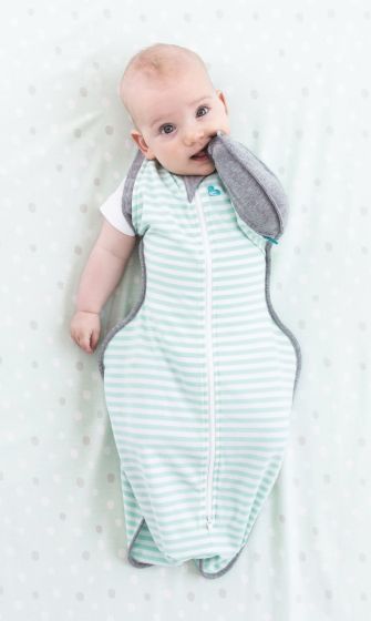 Love to Dream Swaddle UP Transition Bag - Green (Medium) image