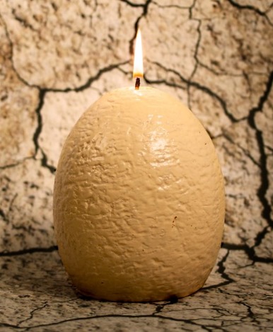 Hatching Dinosaur Candle image