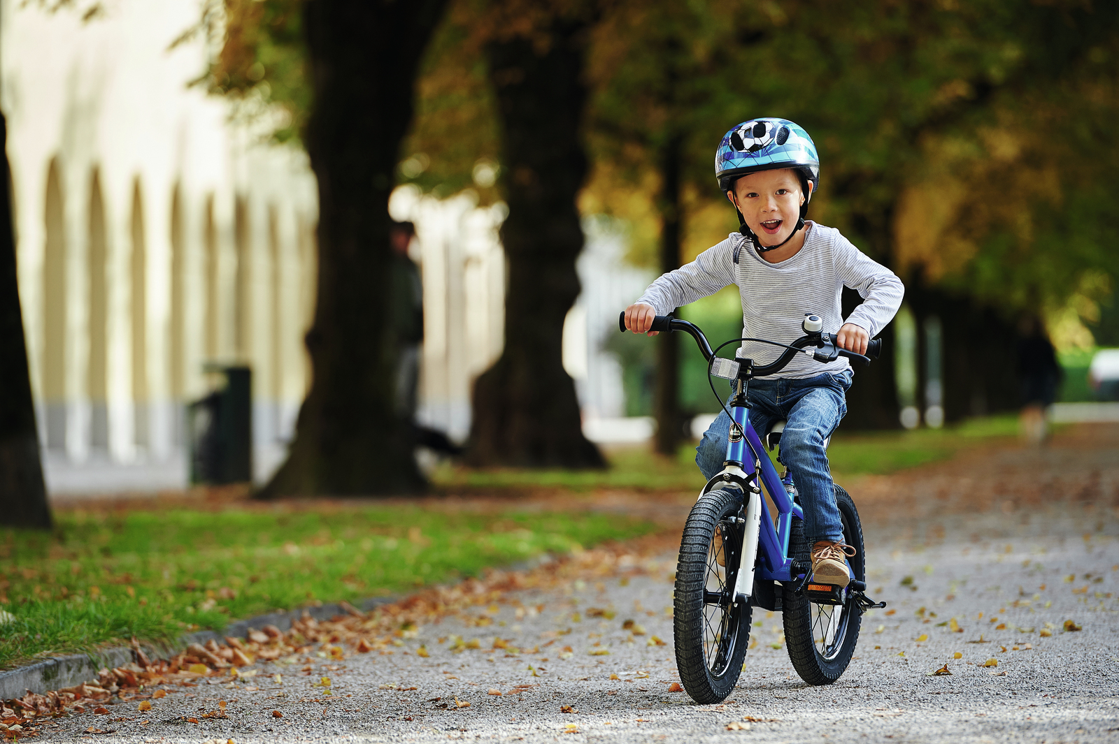 RoyalBaby: BMX Freestyle - 14" Bike (Blue) image