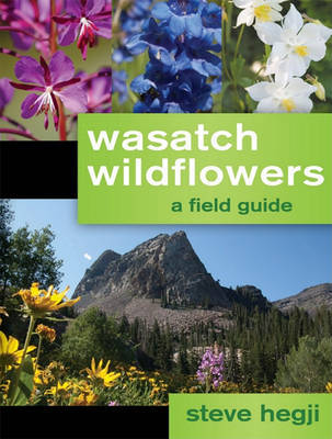 Wasatch Wildflowers by Steve Hegji image