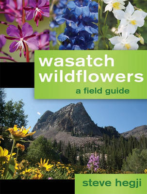 Wasatch Wildflowers by Steve Hegji