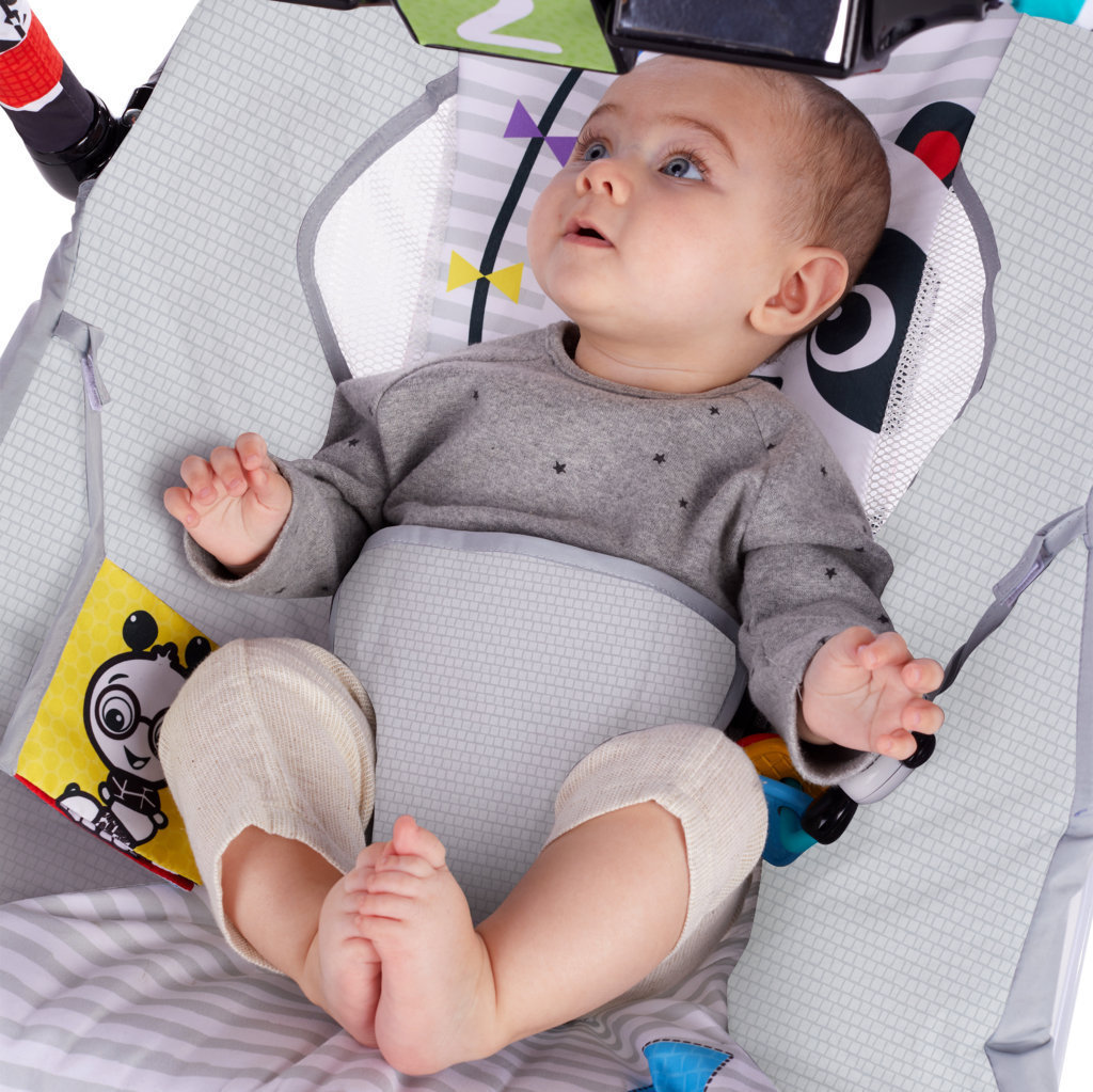 Buy Baby Einstein More to See High Contrast Bouncer with Vibrating