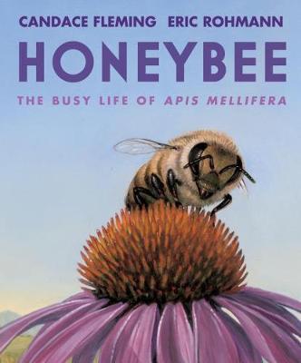 Honeybee by Candace Fleming image