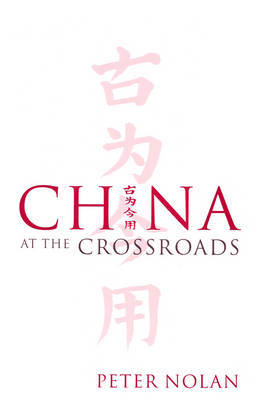 China at the Crossroads by Peter Nolan image