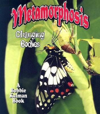 Metamorphosis by Bobbie Kalman