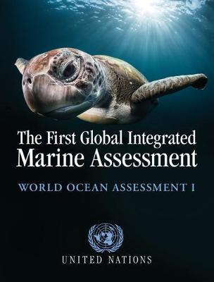 The First Global Integrated Marine Assessment image