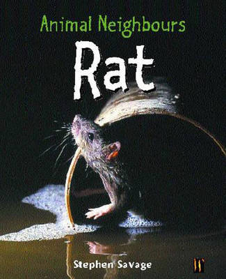 Rat by Stephen Savage image
