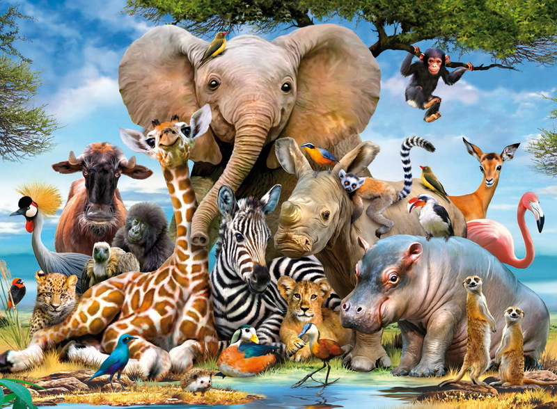 Ravensburger 300 Piece Jigsaw Puzzle - Favourite Wild Animals image