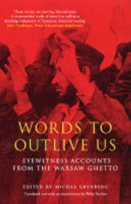 Words to Outlive Us by Michal Grynberg image