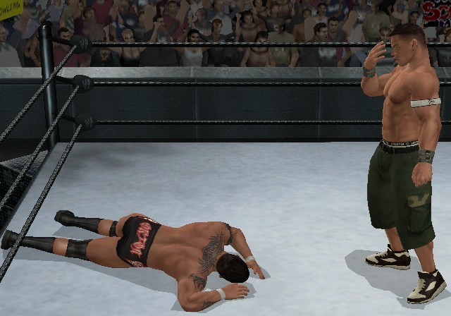 WWE SmackDown! vs. RAW 2009 for Wii image