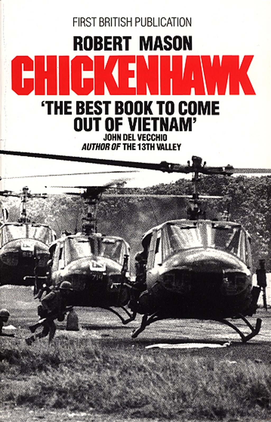 Chickenhawk by Robert Mason image