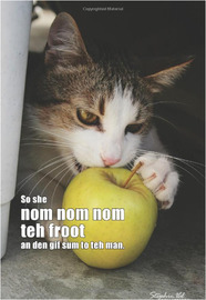 Lolcat Bible In Teh Beginnin Ceiling Cat Maded Teh Skiez An Da