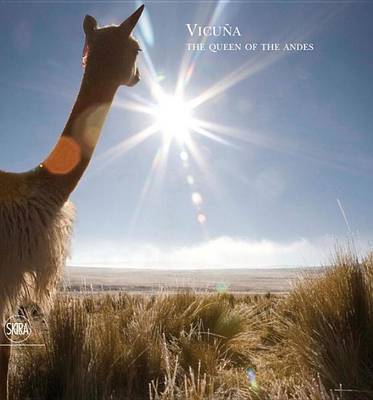 Vicuña on Hardback